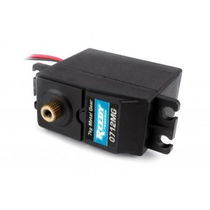 Радиоуправляемая модель Team Associated Шорткорс TROPHY RAT RTR