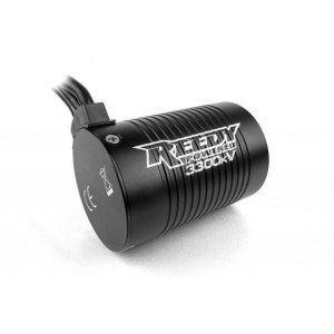 Радиоуправляемая модель Team Associated Шорткорс TROPHY RAT RTR