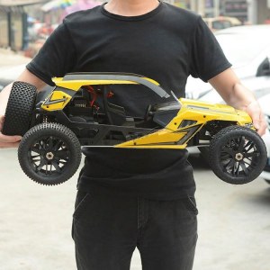 Радиоуправляемая багги 1/6 2WD off-road Dune Buggy