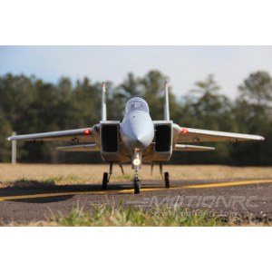 Радиоуправляемая модель самолета FreeWing F-15C Eagle PNP FJ30913P