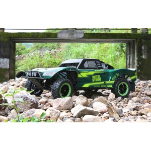 Радиоуправляемая полноприводная машина на бензине ROFUN LT 320 GREEN 4WD LT320-BODY-12