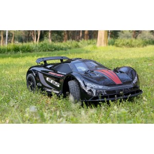 Гоночная радиоуправляемая машина 1/5 ROFUN EF5 DRIFT 750KV/200A BLACK RTR 4WD