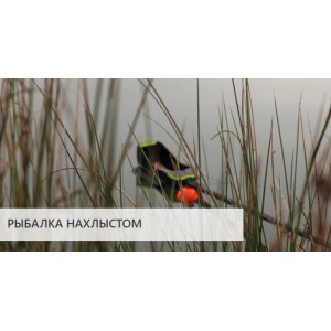 Эхолот DEEPER PRO+2