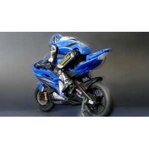 1:5 Wineya - W3388 Yamaha R6