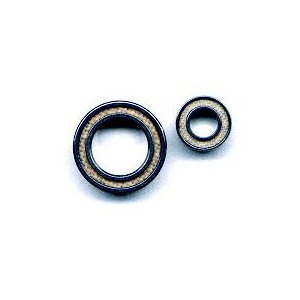 FT PTFE Sealed Bearing Set