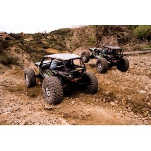 Axial Wraith™ 4WD RTR электро Краулер 1:10 2.4GHz без АКК и з/у