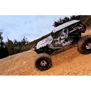 Axial Wraith™ 4WD RTR электро Краулер 1:10 2.4GHz без АКК и з/у