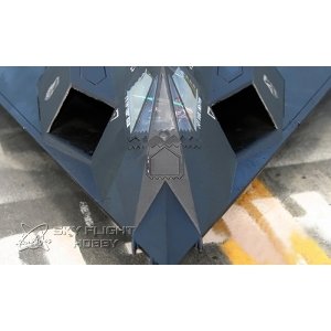 Радиоуправляемый самолет LX F-117 PNP - LX08003-PNP