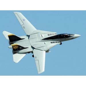 Радиоуправляемый самолет Art-Tech F-14 Tomcat 2.4G - 21291