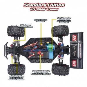 Трагги на радиоуправлении Remo Hobby Traggy Brushless EVO-R RH8066