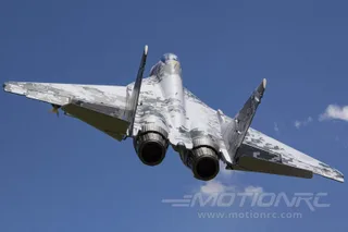 Радиоуправляемая модель самолета FreeWing MiG-29 Fulcrum PNP (80мм*2) FJ31611P — фото 3