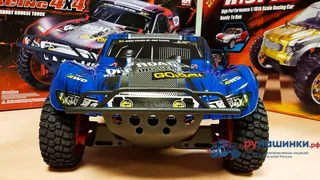 Remo Hobby Truck 9emu 4WD RTR масштаб 1:8 2.4G — фото 11