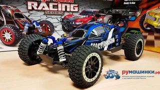 Remo Hobby Scorpion 4WD RTR масштаб 1:8 2.4G — фото 13